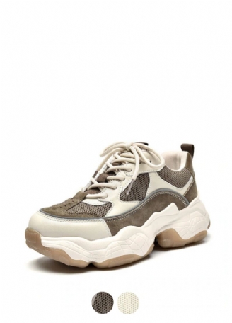 Rancey Dames Sneakers Schoenen