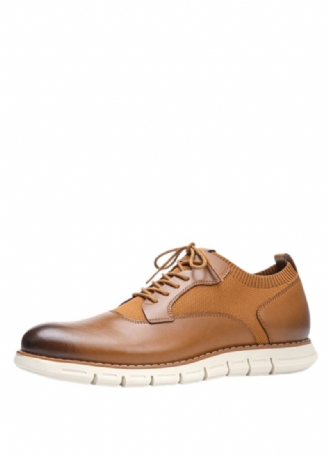 Raphael Heren Oxford Casual Schoenen