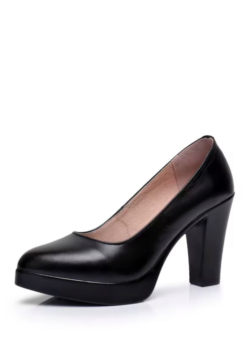 Raquel Dames Puntige Neus Pumps
