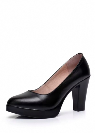 Raquel Dames Puntige Neus Pumps