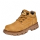 Geel